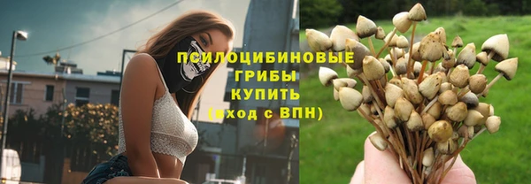 гидра Алзамай