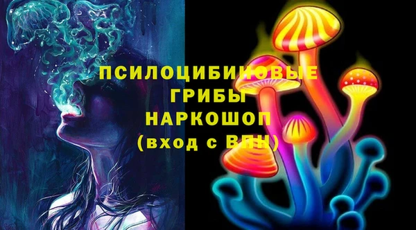 молекула духа Алексин